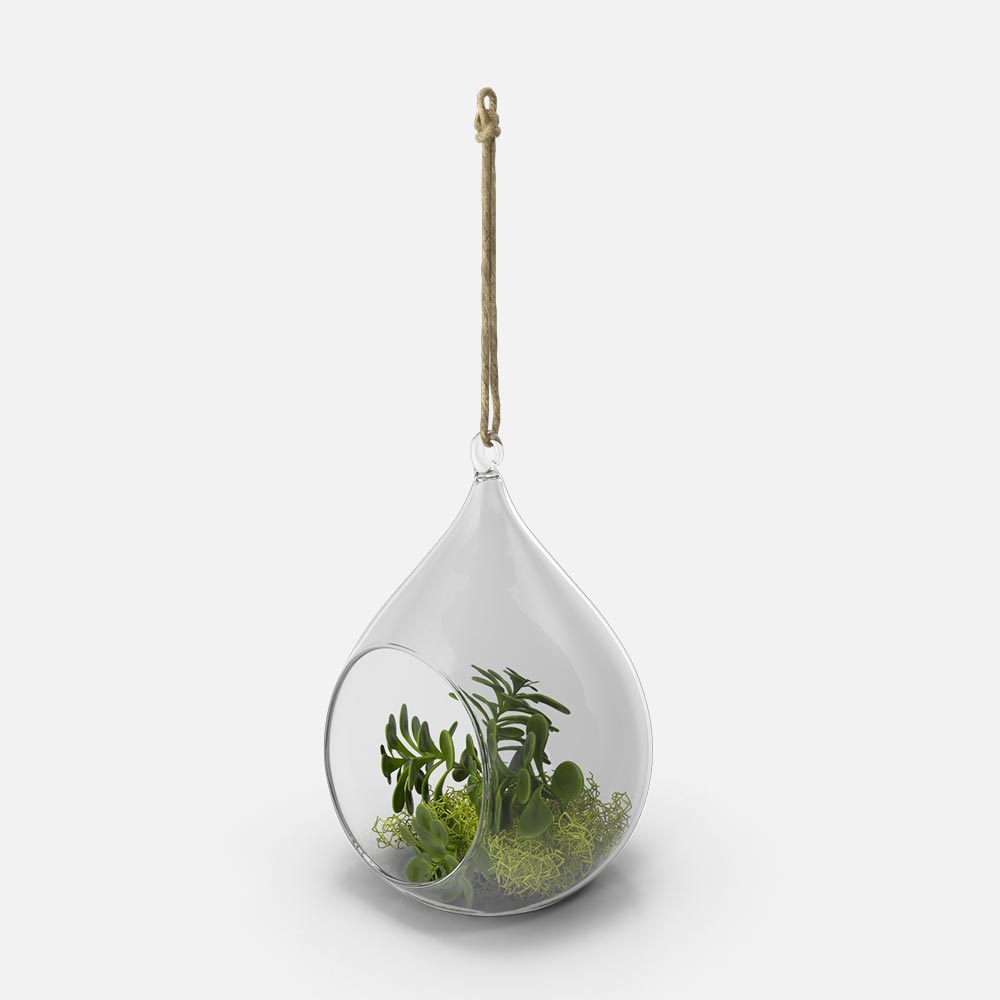 Hanging-Terrarium.H03.2k.jpg